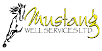 Mustang Well Services