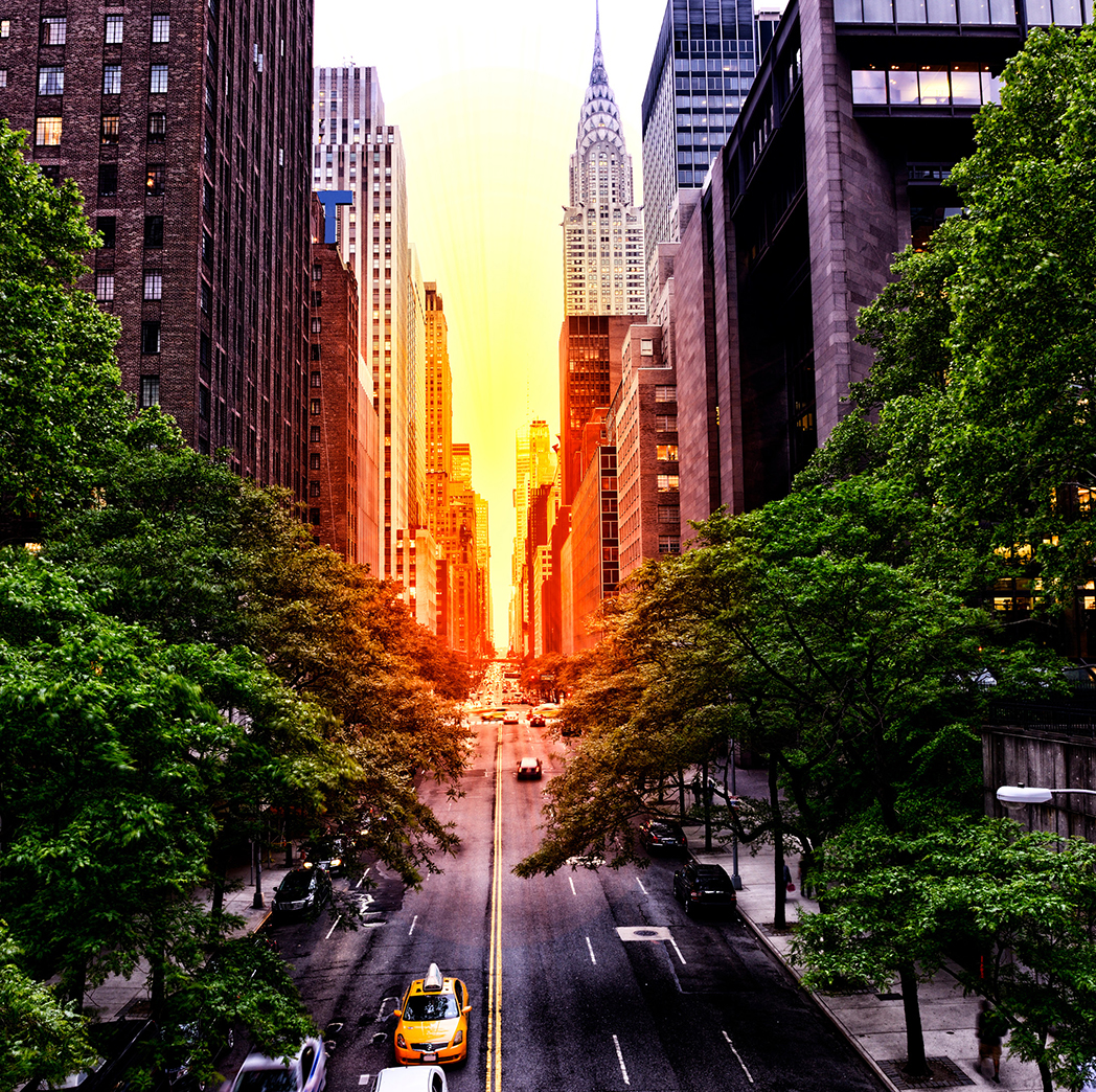 Homepage Compart#2 Side Shotgh