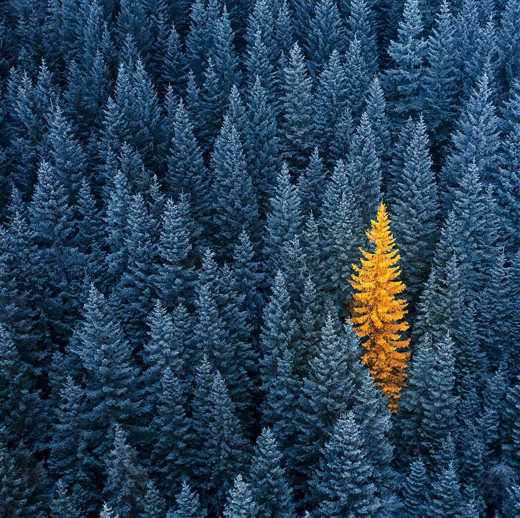 About Our Beliefs 1048x1044 About Our Beliefs 1048x1044